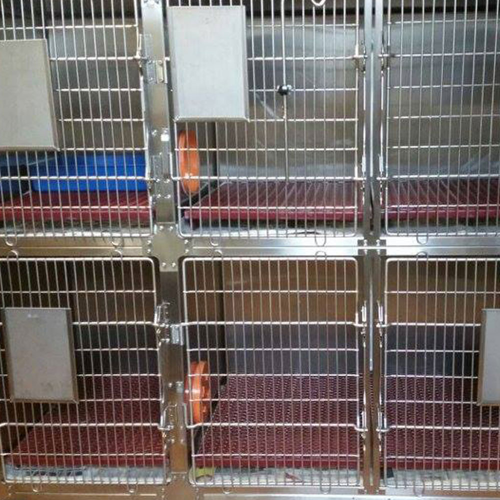 day-hospital-veterinario-torino