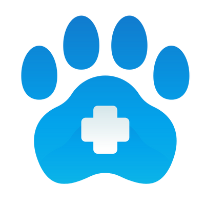 day-hospital-animali-torino