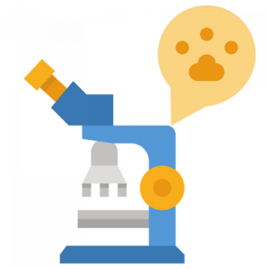 esami-laboratorio-cane-gatto