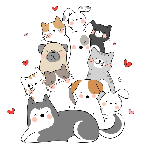 ambulatorio torino per animali